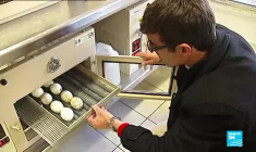 Les secrets du zoo de Beauval