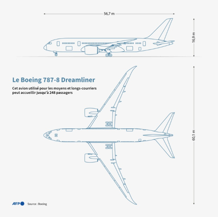 Fiche du Boeing 787-8 Dreamliner impliqué dans un crash aérien en Inde, le 12 juin 2025 ( AFP / Pauline PAILLASSA )