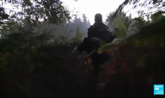 Parc naturel de Boutissaint : au milieu des grands cerfs