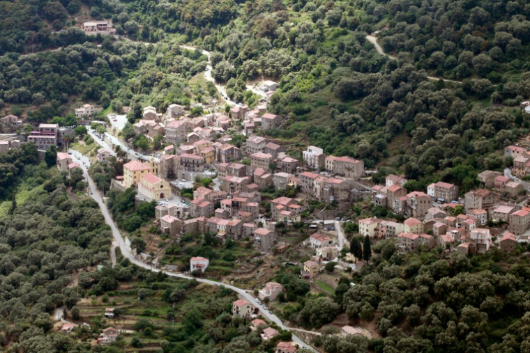 Olmeto, en Corse-du-Sud, le 1er juin 2014 ( AFP / PASCAL POCHARD CASABIANCA )