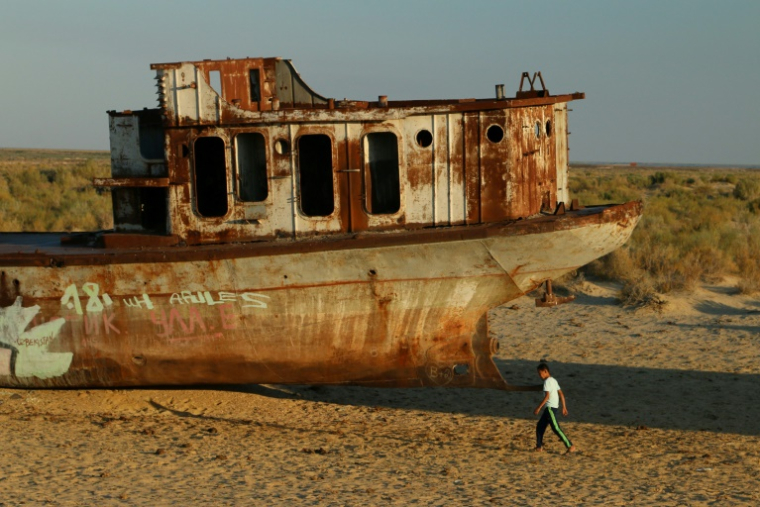 Une épave rouillée de bateau à Muynak, près de la mer d'Aral, dans le nord-ouest de l'Ouzbékistan, le 26 septembre 2018 ( AFP / Sebastien BERGER )