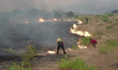Incendie en Espagne: les flammes ravagent la campagne à l'ouest de Madrid