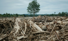 Les inondations et les glissements de terrain, aggravés par la déforestation, ont causé la mort de plus de 1.000 personnes à Sumatra l'année dernière ( AFP / Yasuyoshi CHIBA )