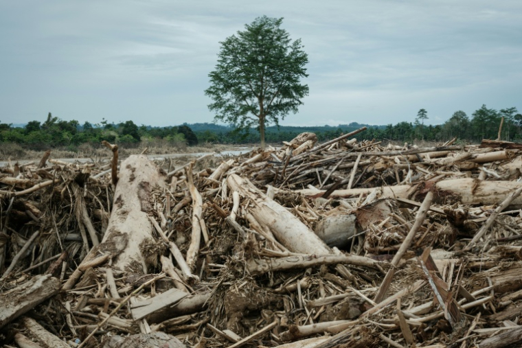 Les inondations et les glissements de terrain, aggravés par la déforestation, ont causé la mort de plus de 1.000 personnes à Sumatra l'année dernière ( AFP / Yasuyoshi CHIBA )