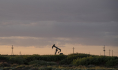 ( AFP / PAUL RATJE )