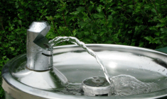 (Crédits: Unsplash - Deborah L Carlsons)