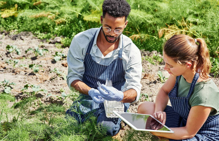La nouvelle école agricole de Xavier Niel - iStock-PeopleImages