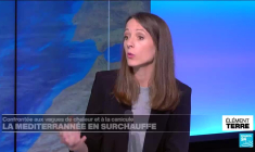 Vague de chaleur : la Méditerranée en surchauffe