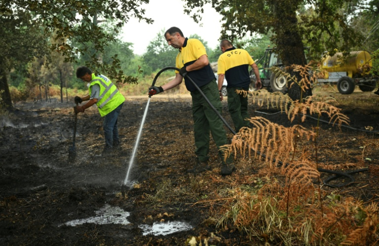 Des membres de la Défense des Forêts Contre les Incendies (DFCI) éteignent les débris d'un incendie, le 16 août 2026 à Luglon, dans les Landes    ( AFP / Gaizka IROZ )