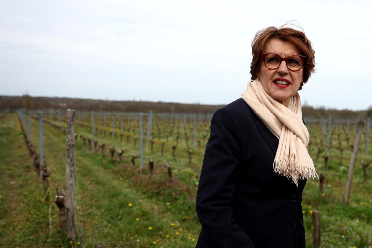 Annie Genevard, ministre de l'Agriculture, à Saint Laurent d’Arce le 20 mars 2025. ( AFP / ROMAIN PERROCHEAU )