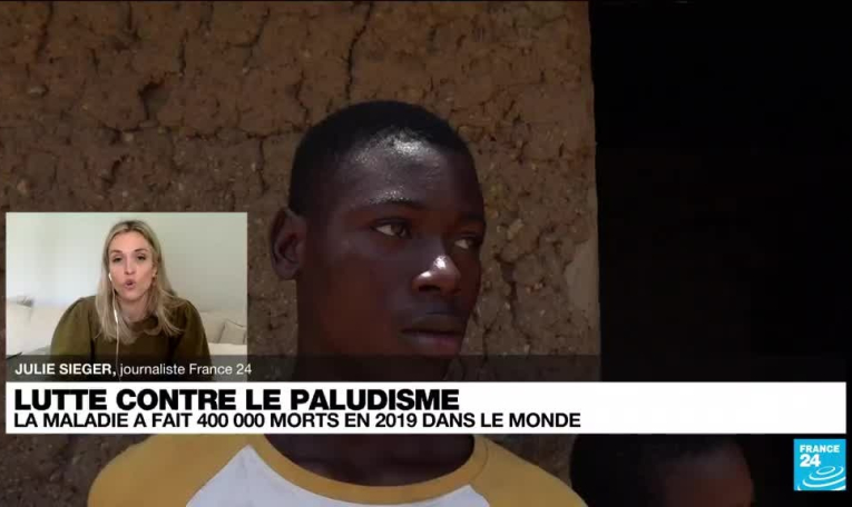 Le paludisme éradiqué de Chine après 70 ans de lutte