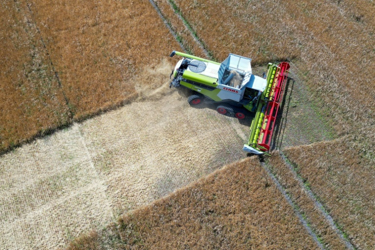 Vue aérienne d'une moissonneuse-batteuse dans un champ à Gross Machnow, dans l'est de l'Allemagne, le 2 juillet 2026 ( AFP / RALF HIRSCHBERGER )