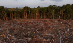 Les agriculteurs brésiliens poussent les cultures de soja plus profondément dans l'Amazonie, à Santarem