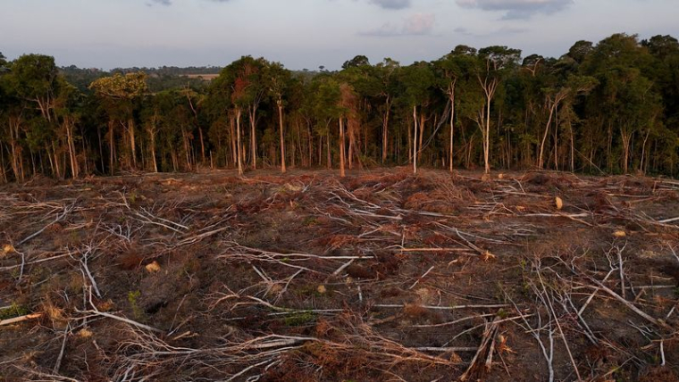 Les agriculteurs brésiliens poussent les cultures de soja plus profondément dans l'Amazonie, à Santarem