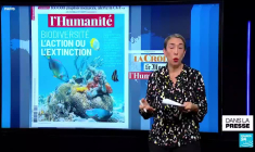 Panné électrique géante à Cuba: "La nuit ne sera pas éternelle"