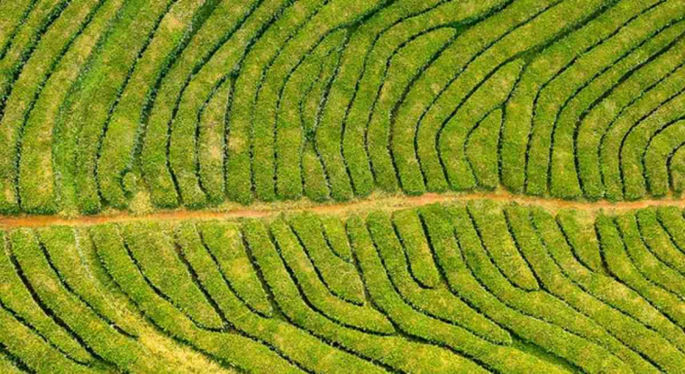 2MX Organic est une SPAC destinée à réaliser des acquisitions dans la production et la distribution de biens de consommation durables. (© 2MX Organic)