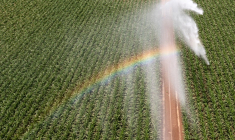 ( AFP / SEBASTIEN BOZON )