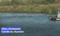France: un millier d'opposants défilent contre le canal Seine-Nord Europe