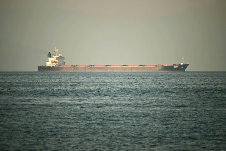 Un cargo au large de la ville côtière de Fujairah, dans le détroit d'Ormuz, le 25 février 2026 ( AFP / Giuseppe CACACE )