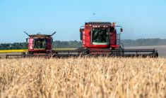 Un champ à Kharkiv, en juillet 2022 ( AFP / SERGEY BOBOK )