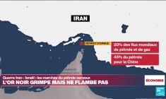 Guerre Israël - Iran : nervosité des marchés pétroliers