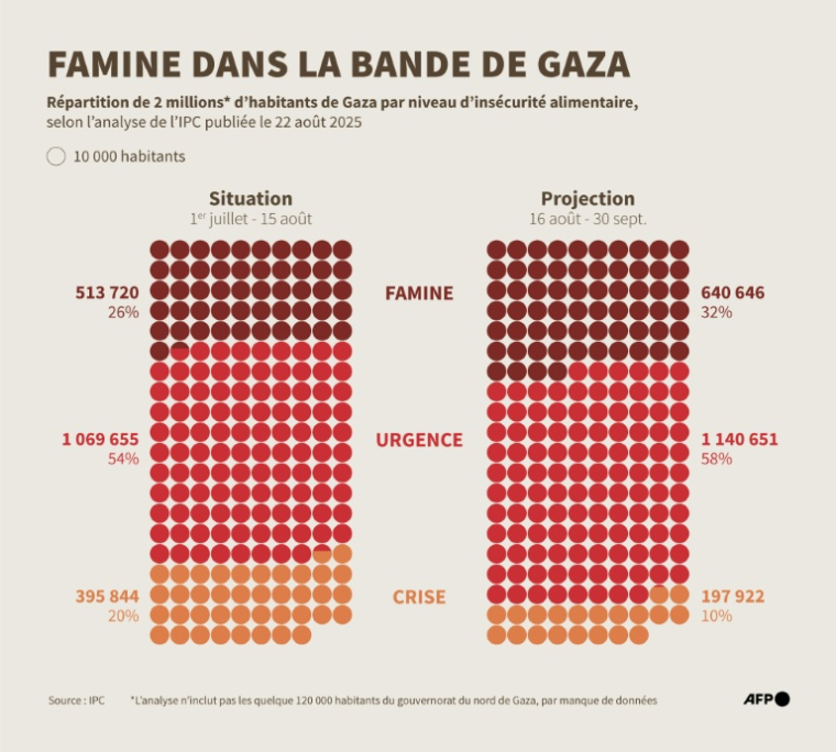 Répartition de la population par niveau d'insécurité alimentaire dans la bande de Gaza, d'après l'analyse du Cadre intégré de classification de la sécurité alimentaire (IPC), publiée le 22 août 2025 ( AFP / Nalini LEPETIT-CHELLA )