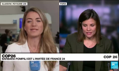 COP26 : la déforestation au cœur de la conférence pour le climat