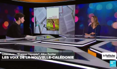 "Frapper l'épopée", d'Alice Zeniter : de l'Algérie à la Nouvelle-Calédonie