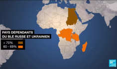 Poutine reçoit des dirigeants africains : sommet Russie-Afrique après la fin de l'accord sur les céréales