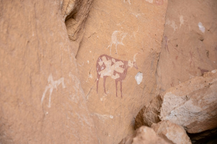 Des peintures sur les roches sur le site de Garoa Hallagana, dans l'Ennedi-Ouest, au Tchad, le 10 juillet 2025 ( AFP / Joris Bolomey )