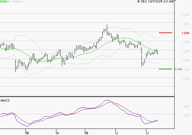CARREFOUR SA : Attendre un test du support