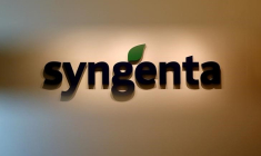 SYNGENTA ESPÈRE FINALISER SA FUSION AVEC CHEMCHINA AU 2E TRIMESTRE