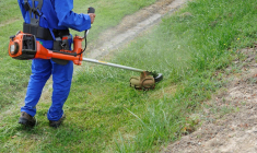 (Crédits: Adobe Stock)