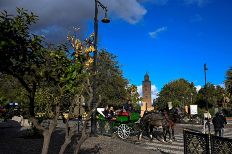 Des touristes font un tour en calèche dans le vieux quartier de Marrakech, le 25 décembre 2025 au Maroc ( AFP / Khaled DESOUKI )