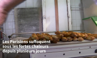 "Jusqu'à 50°C": dans la touffeur de boulangeries par temps de canicule