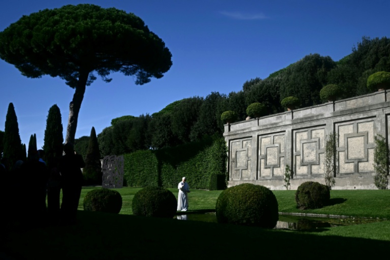 The meeting will be held in Castel Gandolfo, where the pope has a summer residence ( POOL / Filippo MONTEFORTE )
