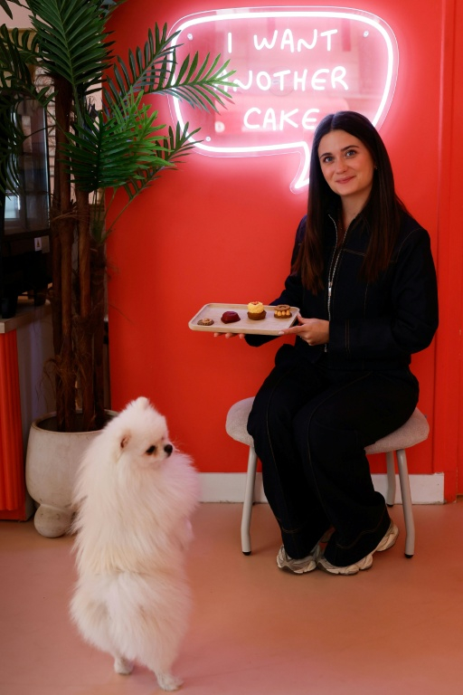 Clara Zambuto, fondatrice du café "Casa del Dogg"», tient un plateau de pâtisseries pour chiens, devant Loulou, un poméranien, le 7 mai 2026 à Paris ( AFP / Xavier GALIANA )