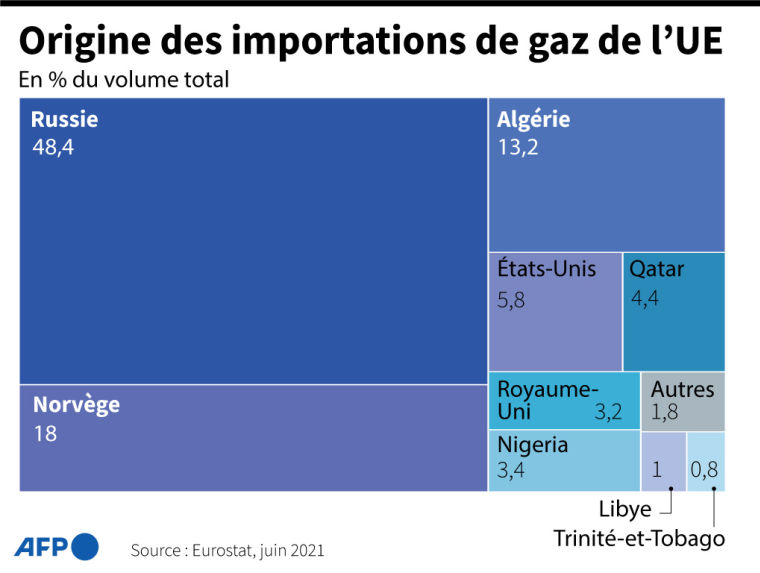 Graphique montrant la proportion et le pays d'origine du gaz importé par l'Union européenne ( AFP / )