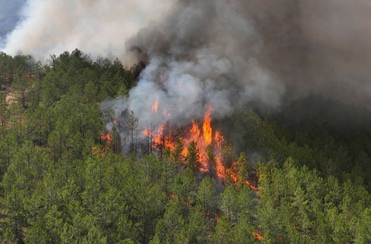 Vue sur un incendie de forêt dans la province turque de Bursa