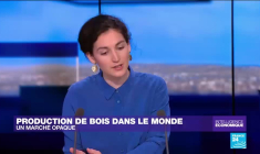 La production de bois dans le monde, un marché opaque