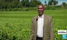 Kenya : première visite du roi Charles III dans un pays du commonwealth