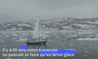 L'odyssée d'une Brésilienne dans l'Arctique: "De moins en moins de glace"