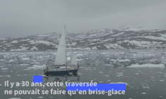L'odyssée d'une Brésilienne dans l'Arctique: "De moins en moins de glace"
