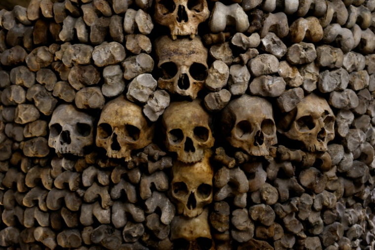 Des crânes et des ossements humains alignés contre un mur des catacombes de Paris, le 24 mars 2026 ( AFP / Kenzo TRIBOUILLARD )