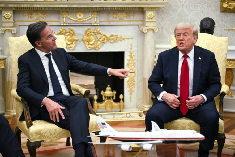 Donald Trump, à droite, et Mark Rutte, à gauche, le 14 juillet 2025 à la Maison Blanche ( AFP / ANDREW CABALLERO-REYNOLDS )