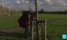 Crash du vol MH17 : un tribunal néerlandais rend son verdict tant attendu