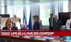 Violences au Stade de France : "la gestion des flux dans un stade est un sujet critique"