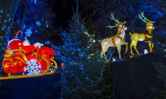 ( AFP / JEAN-CHRISTOPHE VERHAEGEN )