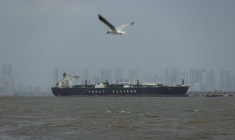 Un oiseau vole près du navire Jag Vasant qui transfère du GPL dans un port après avoir traversé le détroit d'Ormuz, dans un contexte de perturbations de l'approvisionnement liées au conflit israélo-américain avec l'Iran, à Mumbai