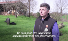 Salon de l’agriculture: Sissi, la potentielle impératrice du concours de la truie suitée